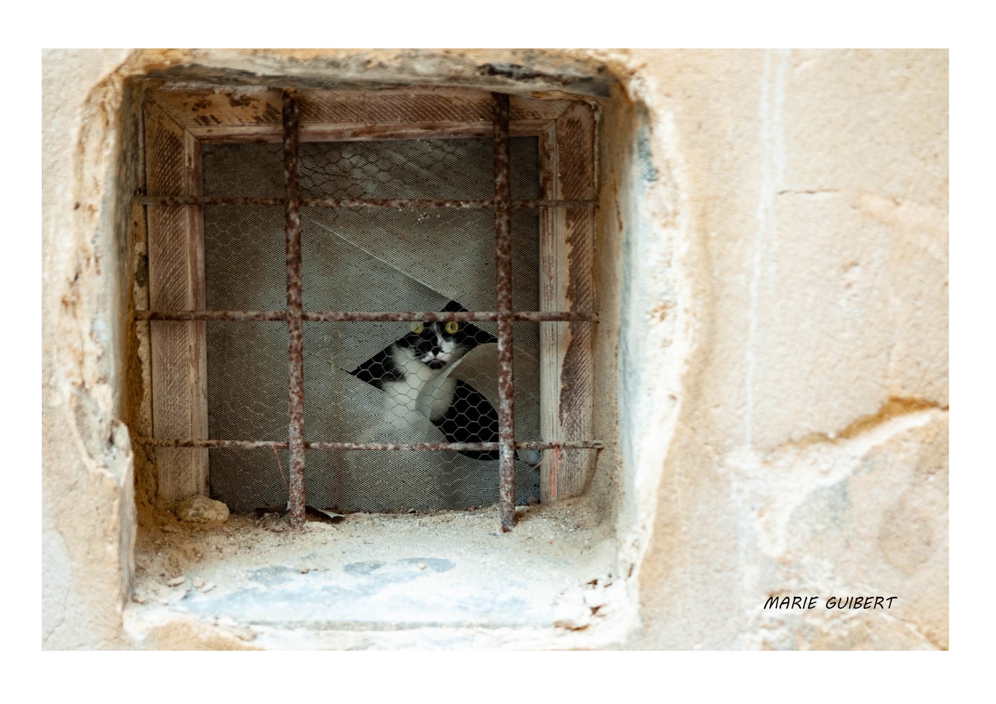 Le Cartel Paysan — photo 1